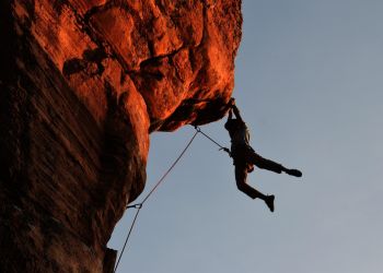 Haython Risk Management Image